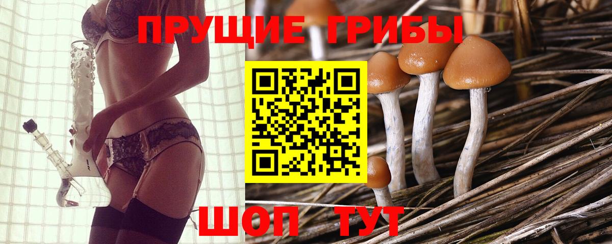 Галлюциногенные грибы мицелий  Галлюциногенные грибы прущие грибы  Вход с VPN  Великий Устюг 